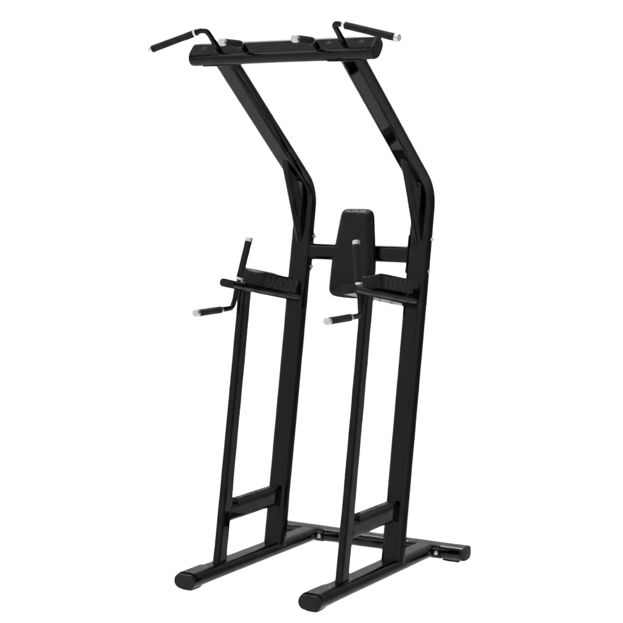 BUILD Chin Dip Leg Raise VKR Station (New)