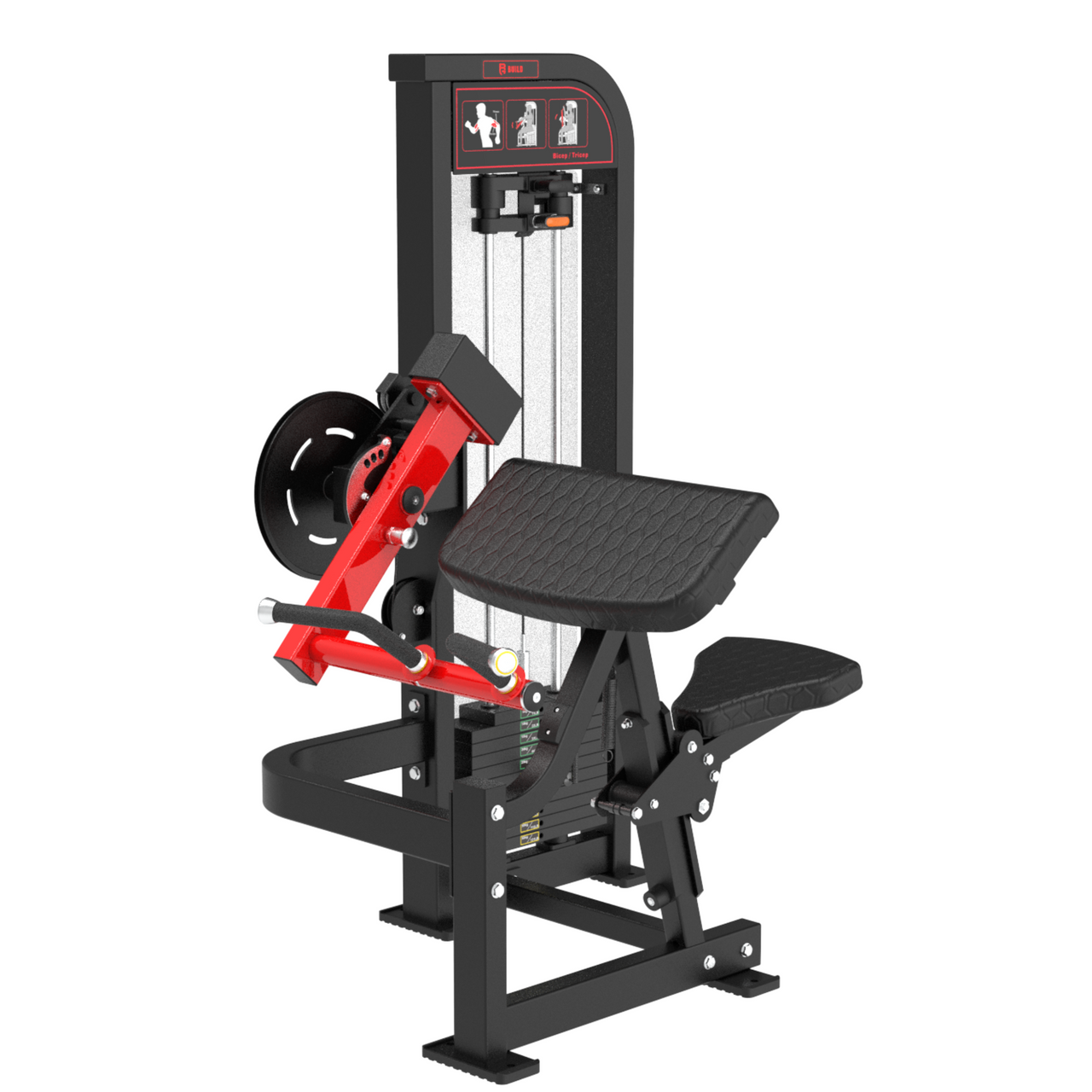 BUILD Biceps Triceps Combo (New)