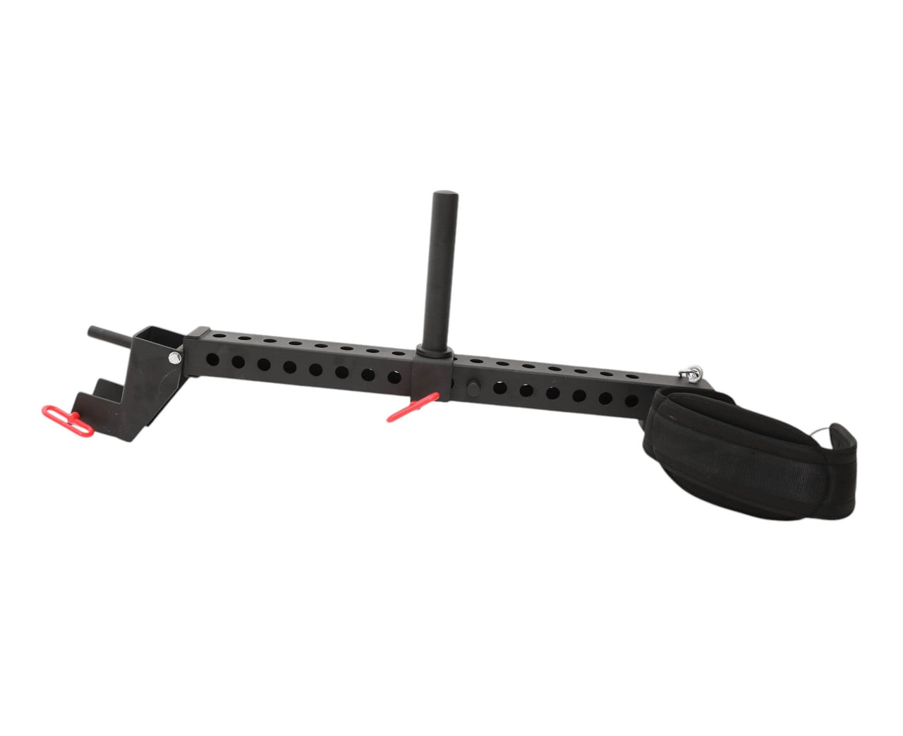 Rack Mounted Belt Squat (Collective)