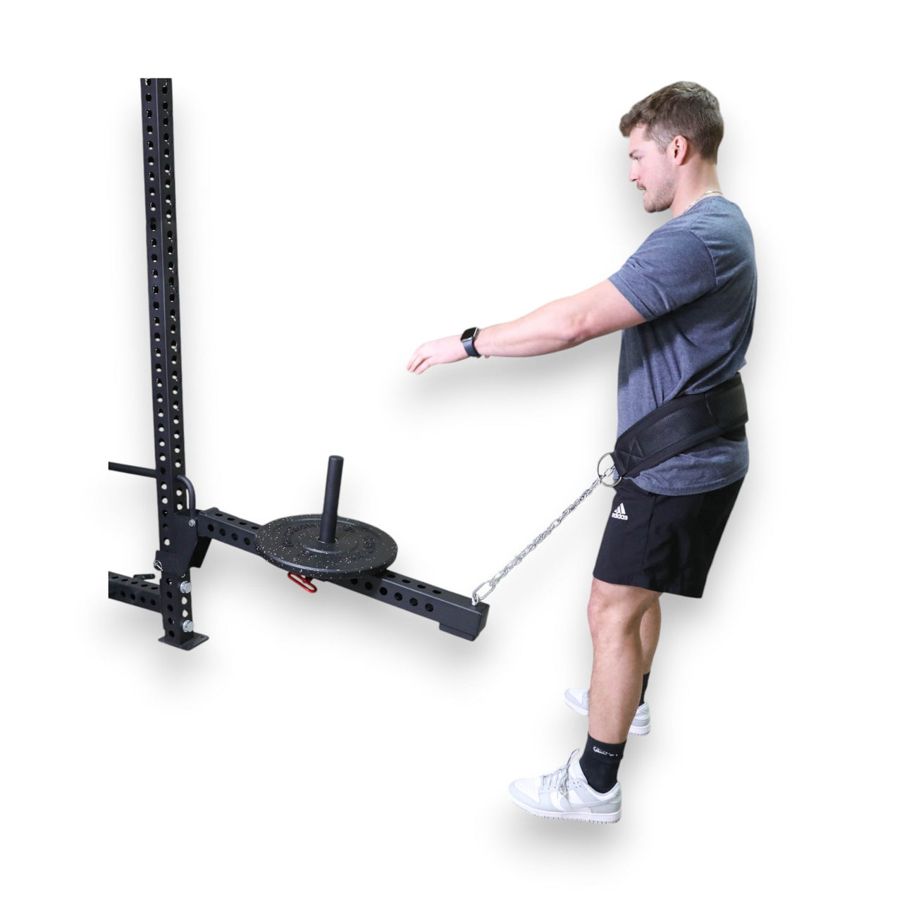 Rack Mounted Belt Squat (Collective)