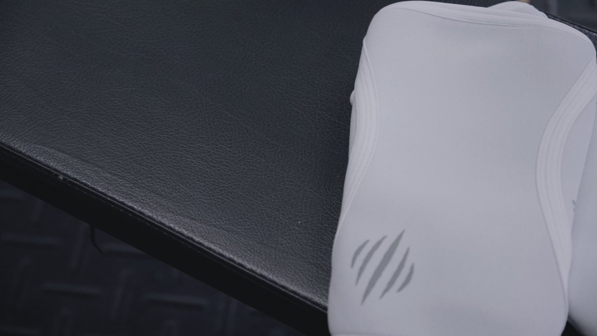 Bear KompleX Knee Sleeves- White